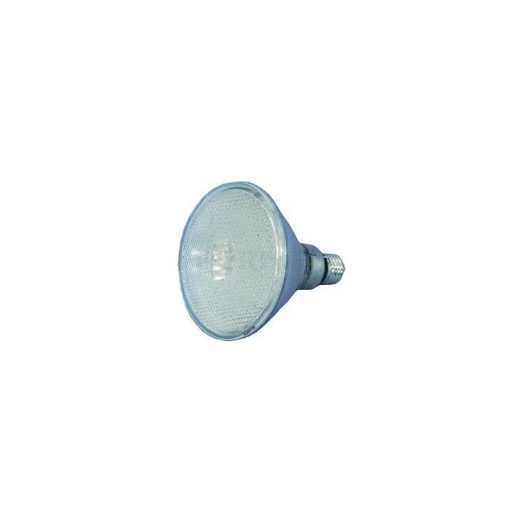 LÁMPARA PAR-38 70 LEDS AMARILLA 240V 4W 