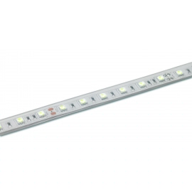 TIRA LED FLEX BL.FRIO 5m 60 LED/m 5050 24V IP-67 CONTEST