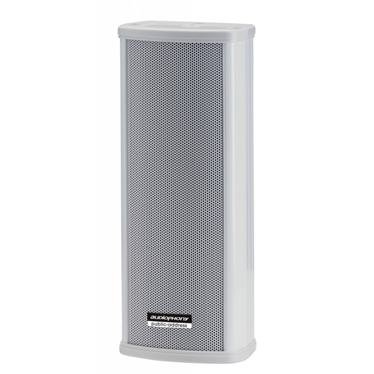 CLS220 COLUMNA 2 VIAS 2x2.5\"-10 /20W 100V IP44