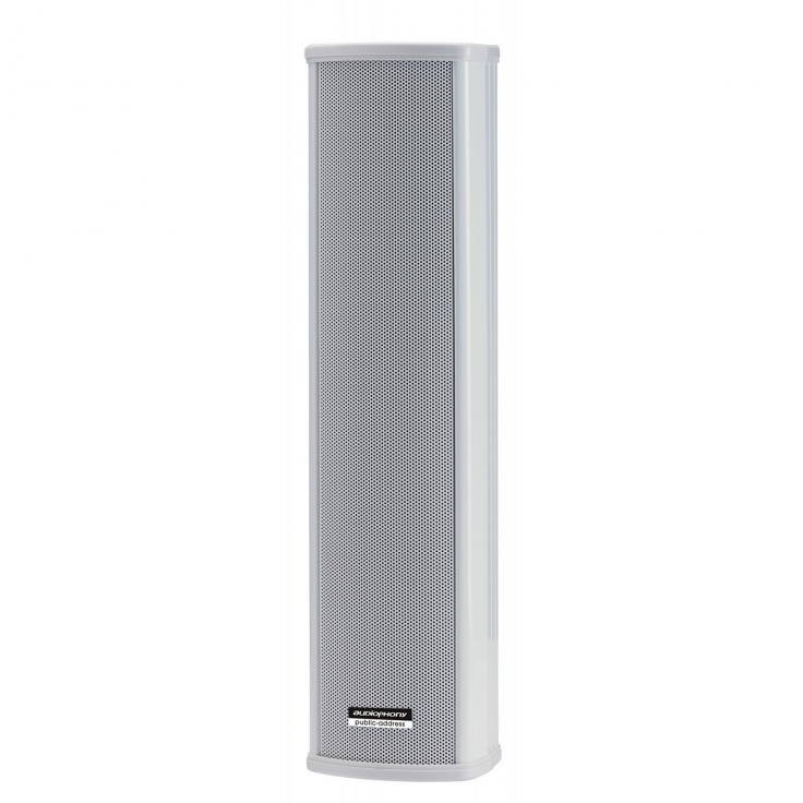 CLS440 COLUMNA 2 VIAS 4x2.5\"-20 /40W 100V IP44