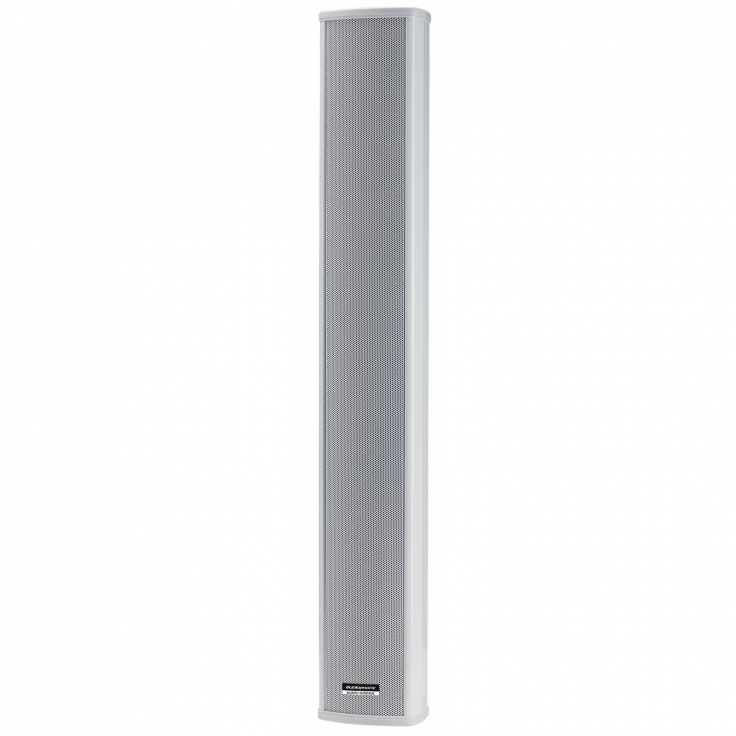 CLS880 COLUMNA 2 VIAS 8x2.5\"-40 /80W 100V IP44