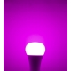 MI-LIGHT LED BULB RGB+CCT 12W