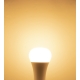 MI-LIGHT LED BULB RGB+CCT 12W